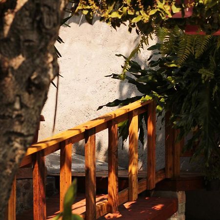 Casa Rustica Villa Atlixco Luaran gambar